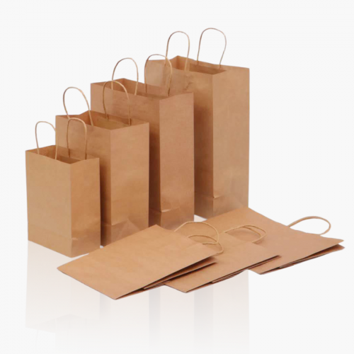 Shopping-bag-1